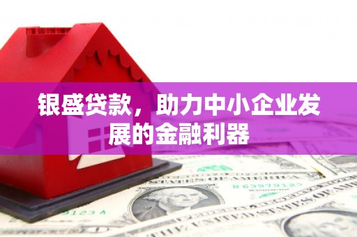 海盐银盛贷款，助力中小企业发展的金融利器