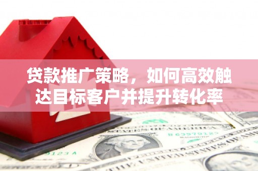 海盐贷款推广策略，如何高效触达目标客户并提升转化率