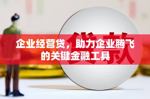 海盐企业经营贷，助力企业腾飞的关键金融工具