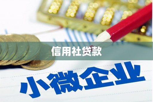 海盐信用社贷款