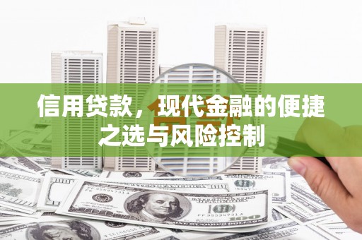 海盐信用贷款，现代金融的便捷之选与风险控制