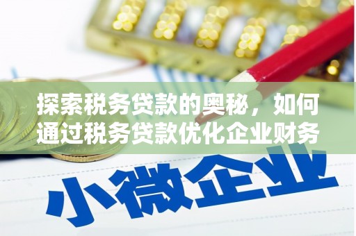 海盐探索税务贷款的奥秘，如何通过税务贷款优化企业财务
