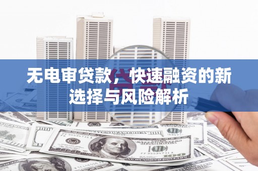 海盐无电审贷款，快速融资的新选择与风险解析