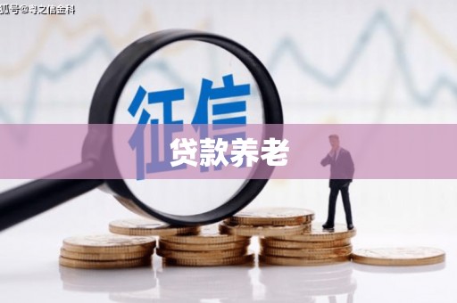 海盐贷款养老