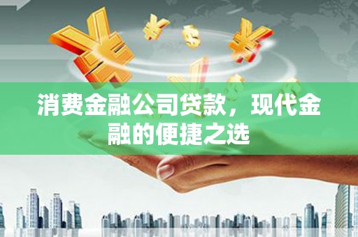 海盐消费金融公司贷款，现代金融的便捷之选
