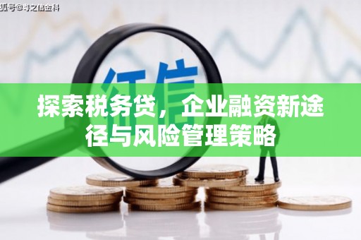 海盐探索税务贷，企业融资新途径与风险管理策略