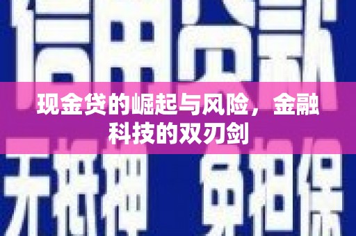 海盐现金贷的崛起与风险，金融科技的双刃剑