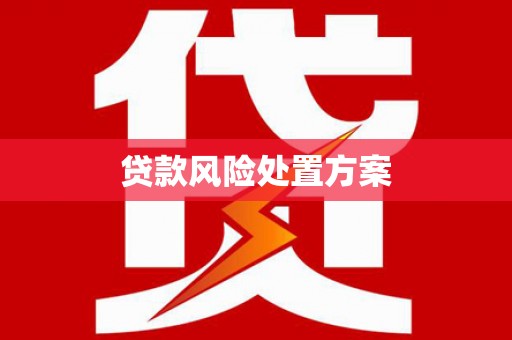 海盐贷款风险处置方案