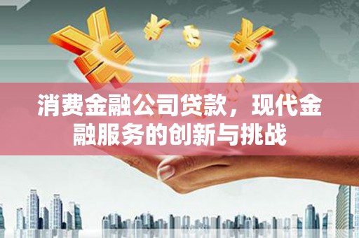 海盐消费金融公司贷款，现代金融服务的创新与挑战