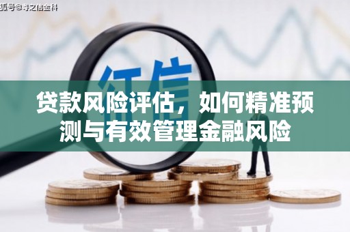 海盐贷款风险评估，如何精准预测与有效管理金融风险