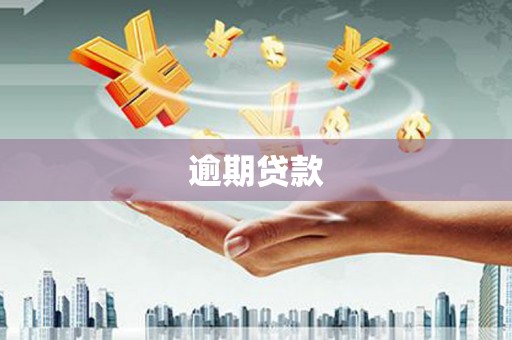 海盐逾期贷款