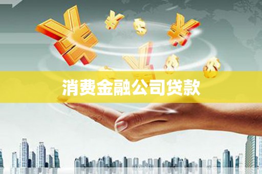 海盐消费金融公司贷款