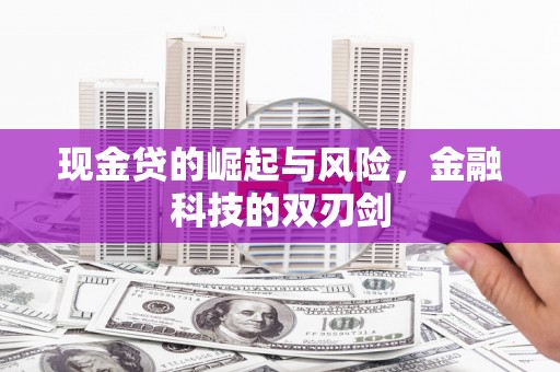 海盐现金贷的崛起与风险，金融科技的双刃剑