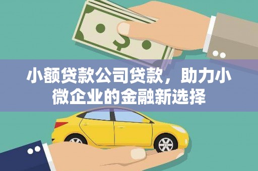 海盐小额贷款公司贷款，助力小微企业的金融新选择