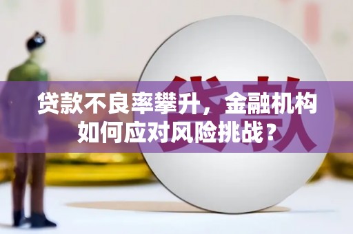 海盐贷款不良率攀升，金融机构如何应对风险挑战？