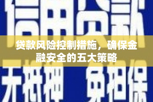 海盐贷款风险控制措施，确保金融安全的五大策略