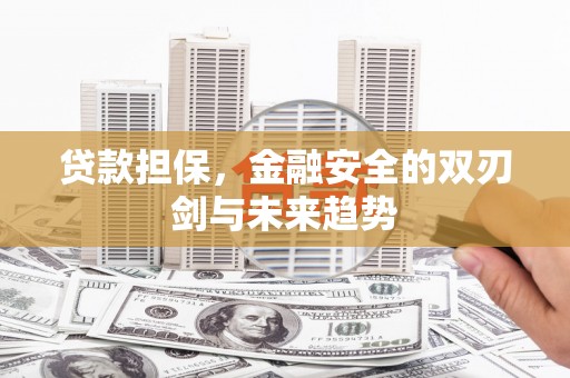 海盐贷款担保，金融安全的双刃剑与未来趋势