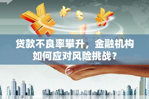 海盐贷款不良率攀升，金融机构如何应对风险挑战？
