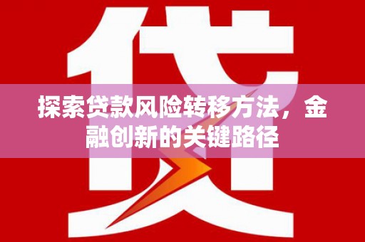 海盐探索贷款风险转移方法，金融创新的关键路径