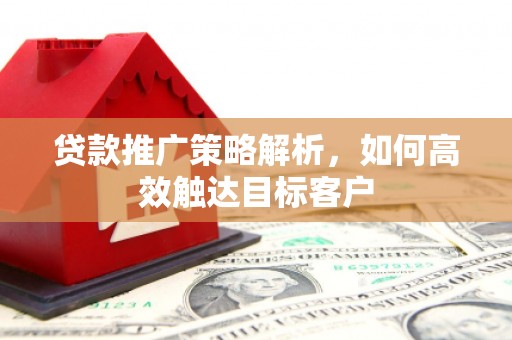 海盐贷款推广策略解析，如何高效触达目标客户