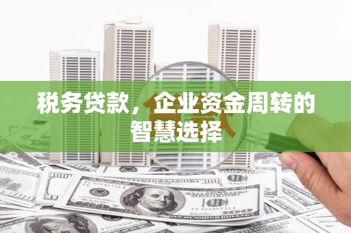 海盐税务贷款，企业资金周转的智慧选择
