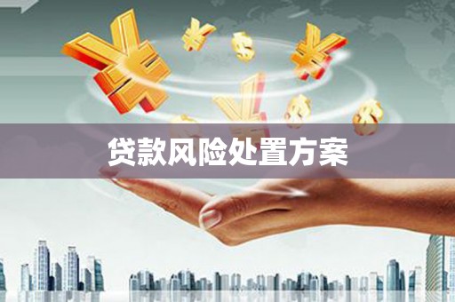 海盐贷款风险处置方案