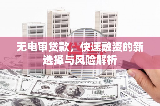 海盐无电审贷款，快速融资的新选择与风险解析