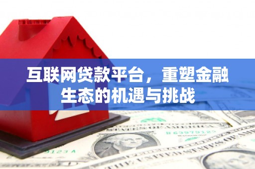 海盐互联网贷款平台，重塑金融生态的机遇与挑战
