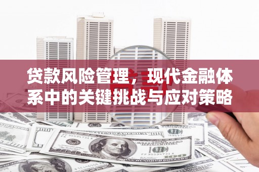海盐贷款风险管理，现代金融体系中的关键挑战与应对策略