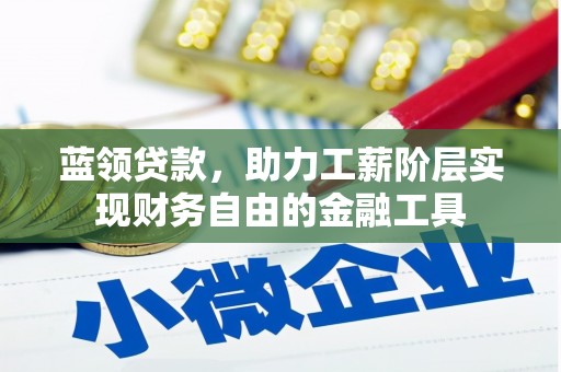 海盐蓝领贷款，助力工薪阶层实现财务自由的金融工具