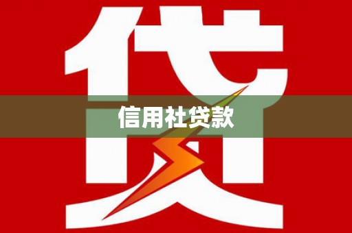 海盐信用社贷款