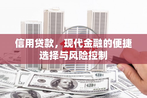 海盐信用贷款，现代金融的便捷选择与风险控制