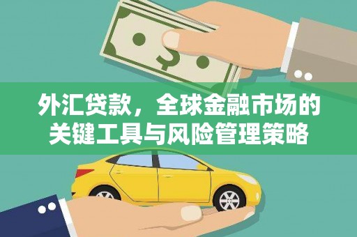 海盐外汇贷款，全球金融市场的关键工具与风险管理策略
