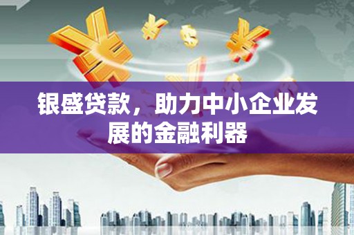 海盐银盛贷款，助力中小企业发展的金融利器