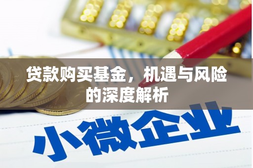 海盐贷款购买基金，机遇与风险的深度解析