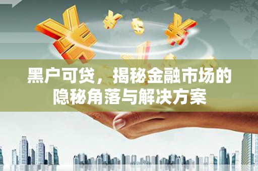 海盐黑户可贷，揭秘金融市场的隐秘角落与解决方案