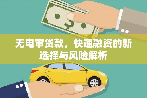 海盐无电审贷款，快速融资的新选择与风险解析