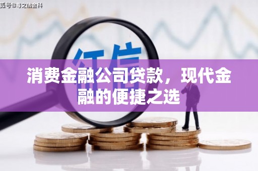 海盐消费金融公司贷款，现代金融的便捷之选