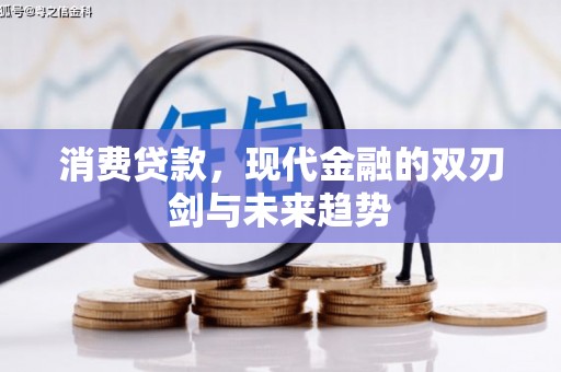 海盐消费贷款，现代金融的双刃剑与未来趋势
