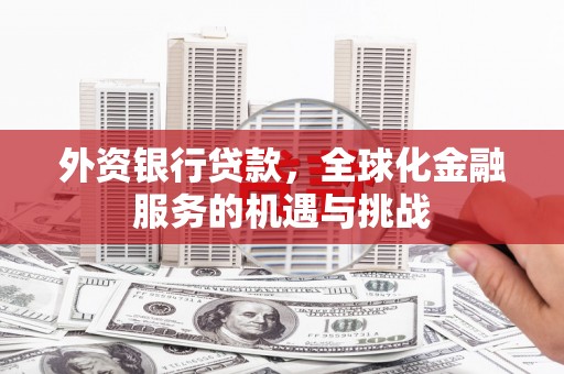 海盐外资银行贷款，全球化金融服务的机遇与挑战