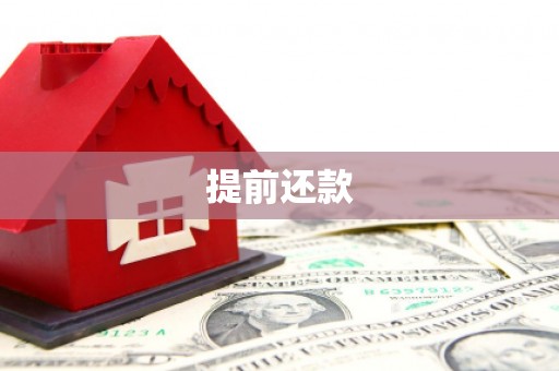 海盐提前还款