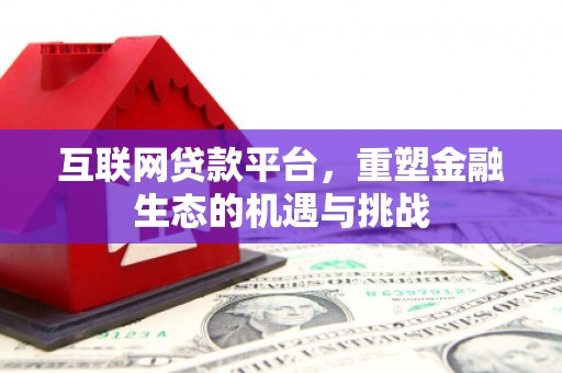 海盐互联网贷款平台，重塑金融生态的机遇与挑战