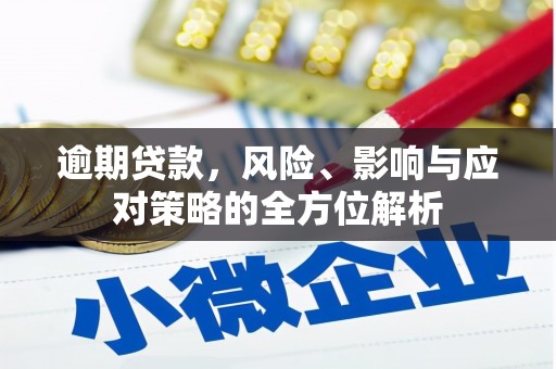 海盐逾期贷款，风险、影响与应对策略的全方位解析