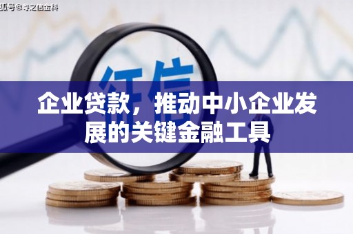 海盐企业贷款，推动中小企业发展的关键金融工具