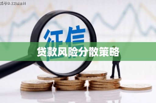 海盐贷款风险分散策略