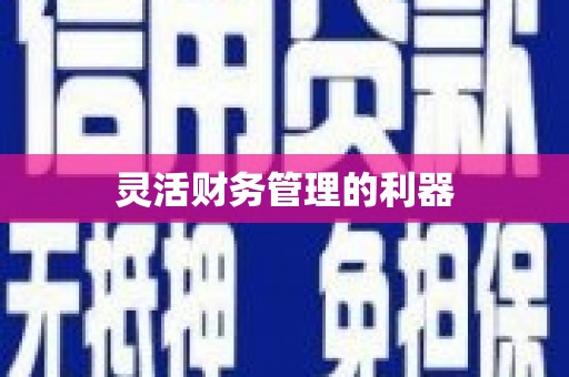 海盐灵活财务管理的利器