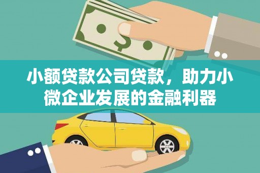 海盐小额贷款公司贷款，助力小微企业发展的金融利器