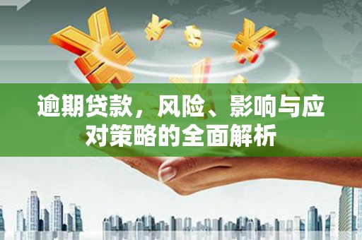 海盐逾期贷款，风险、影响与应对策略的全面解析