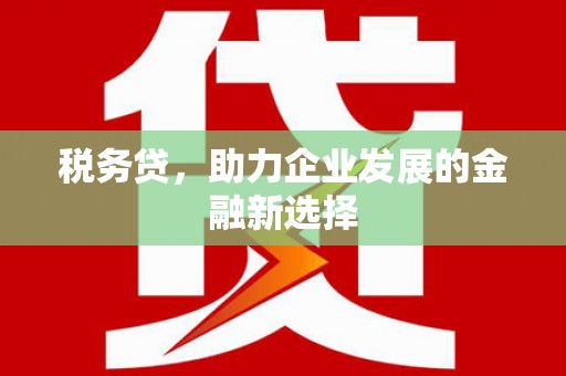 海盐税务贷，助力企业发展的金融新选择