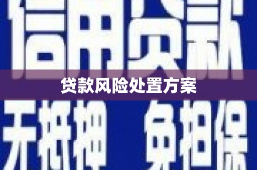 海盐贷款风险处置方案